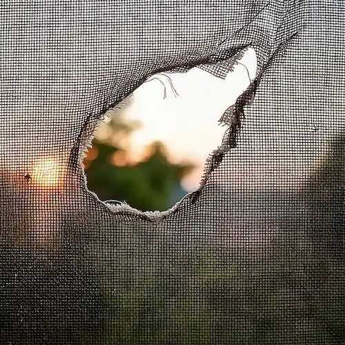 Ripped screen with visible damage. Get professional screen repair in Vancouver, WA